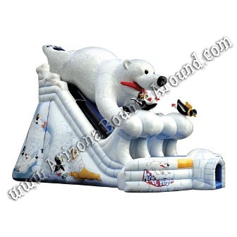 Polar Plunge dual lane slide rental Phoenix Arizona